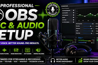 professionally setup your obs mic audio and filters