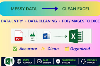 do data entry, data cleaning, PDF images to excel conversion