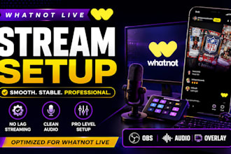 whatnot live streaming  optimize obs for professional live selling