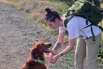 film dog pet ugc videos for your brand or product