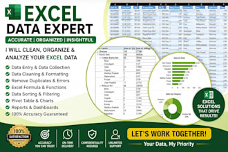 clean , format , merge , split excel data
