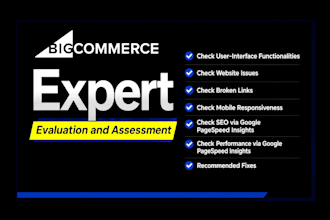 audit, evaluate and assess your bigcommerce store