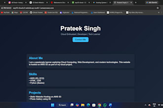 make frontend pages and websites