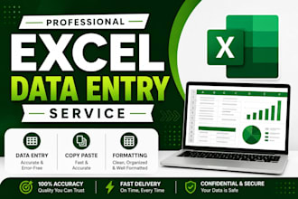 do excel data entry, formatting and spreadsheet cleanup