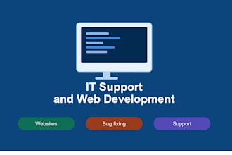 provide IT support, web development and bug fixing
