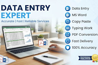 do accurate data entry, copy paste, typing and PDF conversion