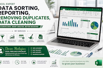 clean,sort,format and organize your excel data