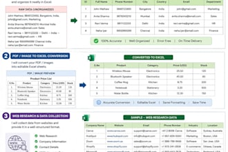 do  fast and accurate data entry and logo design