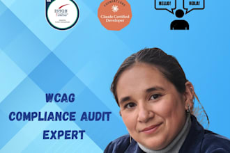 do a wcag accessibility audit for your website