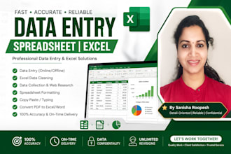do accurate data entry and excel spreadsheet