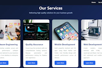 do professional web development QA testing and data entry