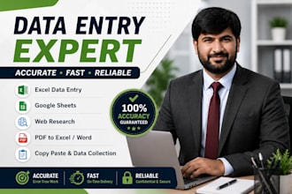 do precise data entry, data analysis, excel, research, pdf conversion