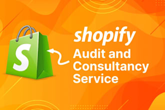 do shopify store audit