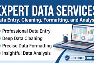 do data analysis, data cleaning, and excel visualization
