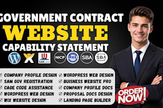 write government contract bid proposals, rfp, rfq and professional capability