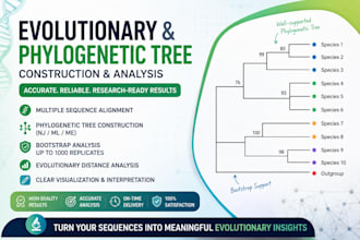 construct an evolutionary relationship tree using phylogenetics