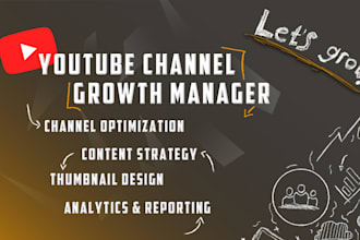 be your professional youtube channel manager and producer