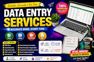 do accurate data entry and excel data entry