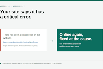 fix wordpress errors, critical error, bugs and woocommerce issues