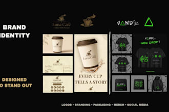 design a professional brand identity and visual branding