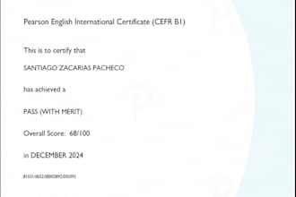 translate technical documents, web or blog content
