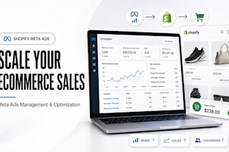 manage and optimize shopify meta ads for ecommerce sales and roas