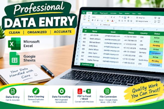 enter data and excel spreadsheets for your business