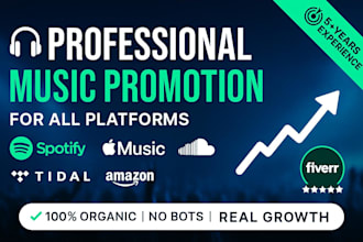 do professional spotify music promotion and organic music marketing