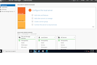 provide windows server administration and remote IT support