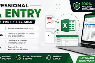 do excel data entry and spreadsheet work