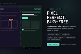 perform functional QA and UI UX testing for your website
