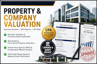 perform cpa audit property valuations, company valuations, and bpo report
