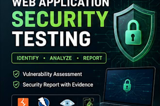 perform web application security testing