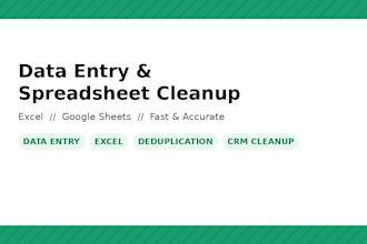 do accurate data entry, excel and google sheets cleanup