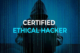 do cyber security expert gmail data email and crypto social media recoverys