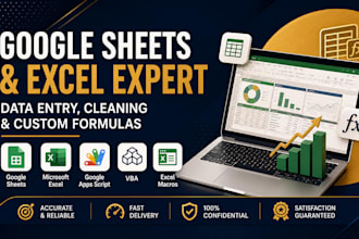 google sheets and excel expert for data entry cleaning and custom formulas