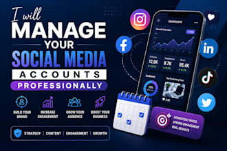 manage your social media accounts professional