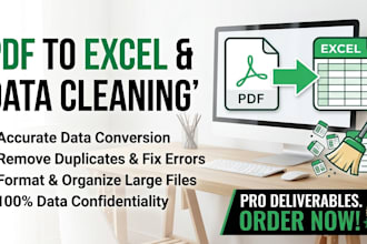 convert PDF to excel, clean messy data, and format spreadsheets