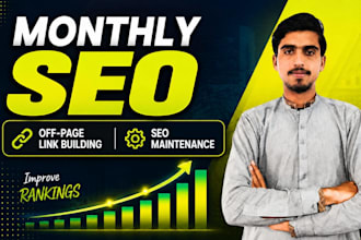 provide monthly SEO and off page link building services with organic rank