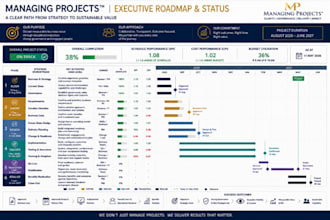 create a professional project roadmap for your project