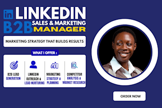 provide b2b lead generation and linkedin marketing strategy