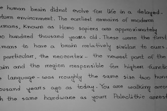 neat and professional handwritten notes