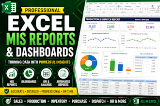 create professional excel mis reports and dashboards