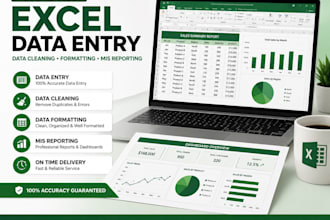 do professional data entry, excel data cleaning and mis reporting
