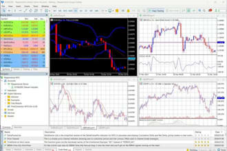 decompile ea file recompile forex ea, crack ea, source code