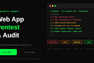 perform a web application security audit and penetration test