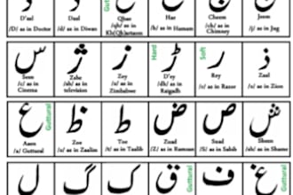 teach you urdu from basic to advanced with easy lessons