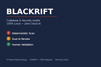 perform a professional codebase security audit and vulnerability assessment