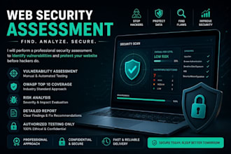 perform a web security audit and vulnerability assessment