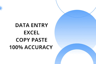 do professional data entry, copy paste and excel data typing